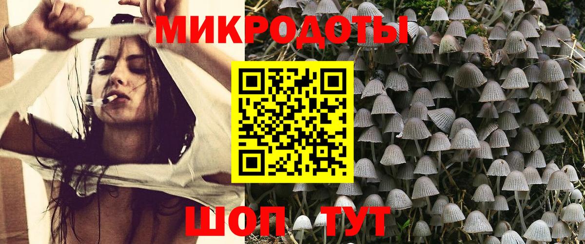 Псилоцибиновые грибы прущие грибы Белорецк