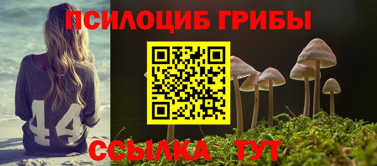 Галлюциногенные грибы MAGIC MUSHROOMS  Псилоцибиновые грибы Psilocybe  Вход с VPN  Белорецк 